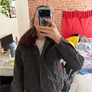 Velvet Heart Black Jean Jacket with Burgundy Collar